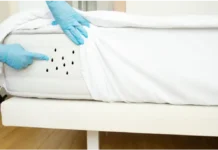 Cómo eliminar los ácaros en casa: guía completa y fácil