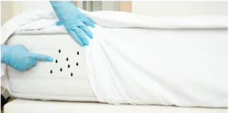 Cómo eliminar los ácaros en casa: guía completa y fácil