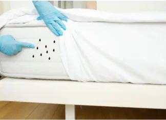 Cómo eliminar los ácaros en casa: guía completa y fácil