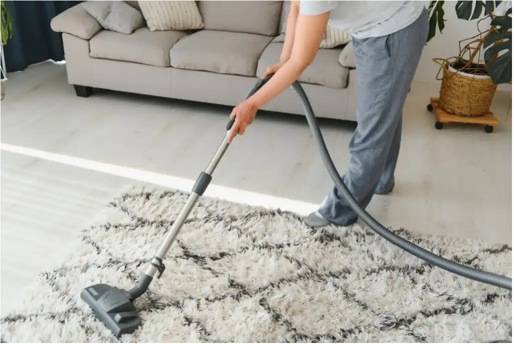 Cómo eliminar los ácaros en casa: guía completa y fácil